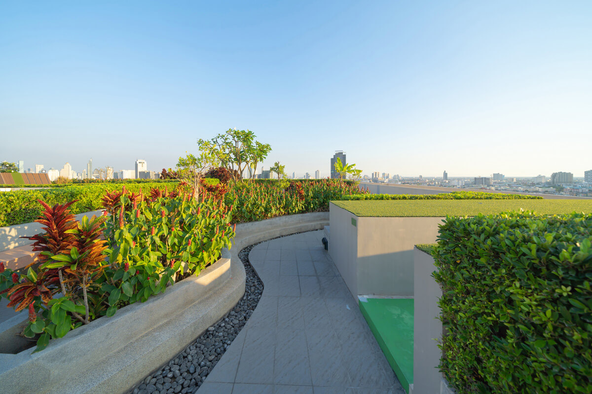 rooftop green space. smart city planning